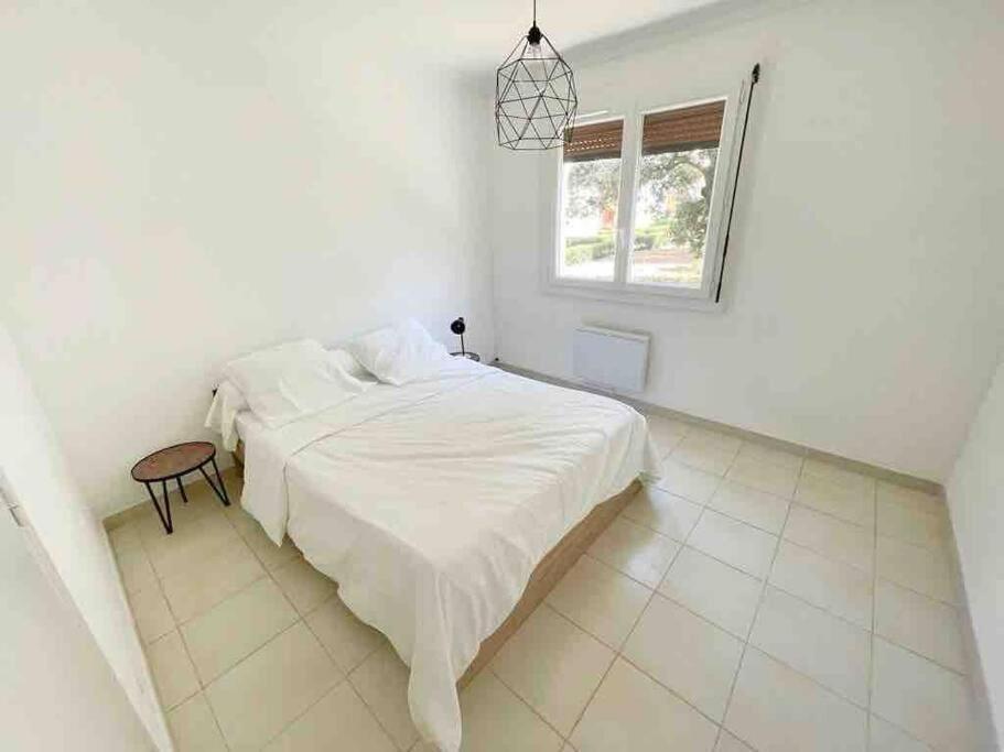 Appartement Spacieux Avec Parking Gratuit Sète Buitenkant foto